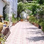 Atalaya Bosque