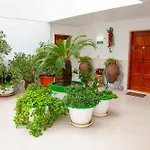 Atalaya Bosque Пагера