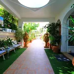 Atalaya Bosque