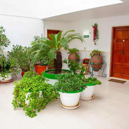 Atalaya Bosque باغيرا