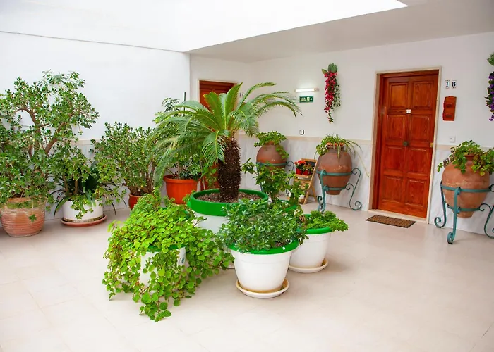 Atalaya Bosque Пагера