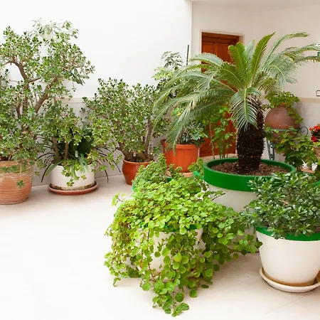 Atalaya Bosque דירה פגוארה