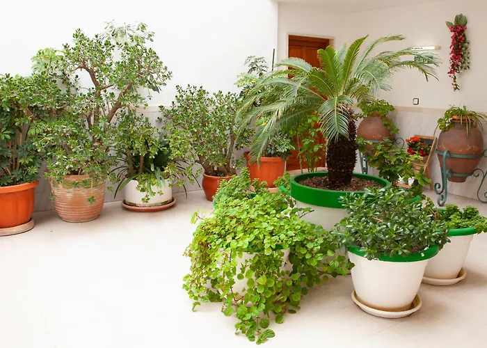 Atalaya Bosque Apartmán Peguera